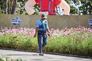 BIB: 
                            <button type="button" onclick="openModal(27794899)" class="btn btn-primary btn-sm float-right btn-popup" data-toggle="modal" data-target=".modal-high-quality">
                        <i class="fas fa-shopping-cart"></i> Add to Cart
                    </button>
                                            <button type="button" onclick="isThisMe(27794899, true)" class="btn btn-success btn-sm float-right btn-popup btn-isme hidden" data-toggle="tooltip" data-placement="bottom" title="นี่คือรูปของคุณใช่ไหม คลิกที่นี่เพื่อเอาเข้าอัลบั้ม">
                        <i class="fas fa-plus"></i> Add to album
                    </button>
                    <button type="button" onclick="isThisMe(27794899, false)" class="btn btn-warning btn-sm float-right btn-popup btn-isnotme hidden">
                        <i class="fas fa-ban"></i> Remove from album
                    </button>